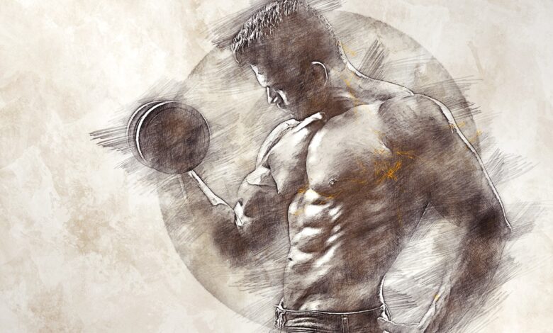 Muskelgruppen-Trainingskombinationen für Bodybuilding