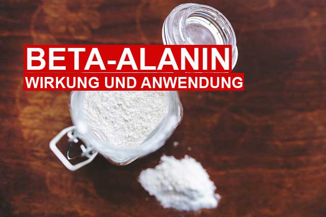 Beta Alanin Wirkung, Anwendung und Dosierung