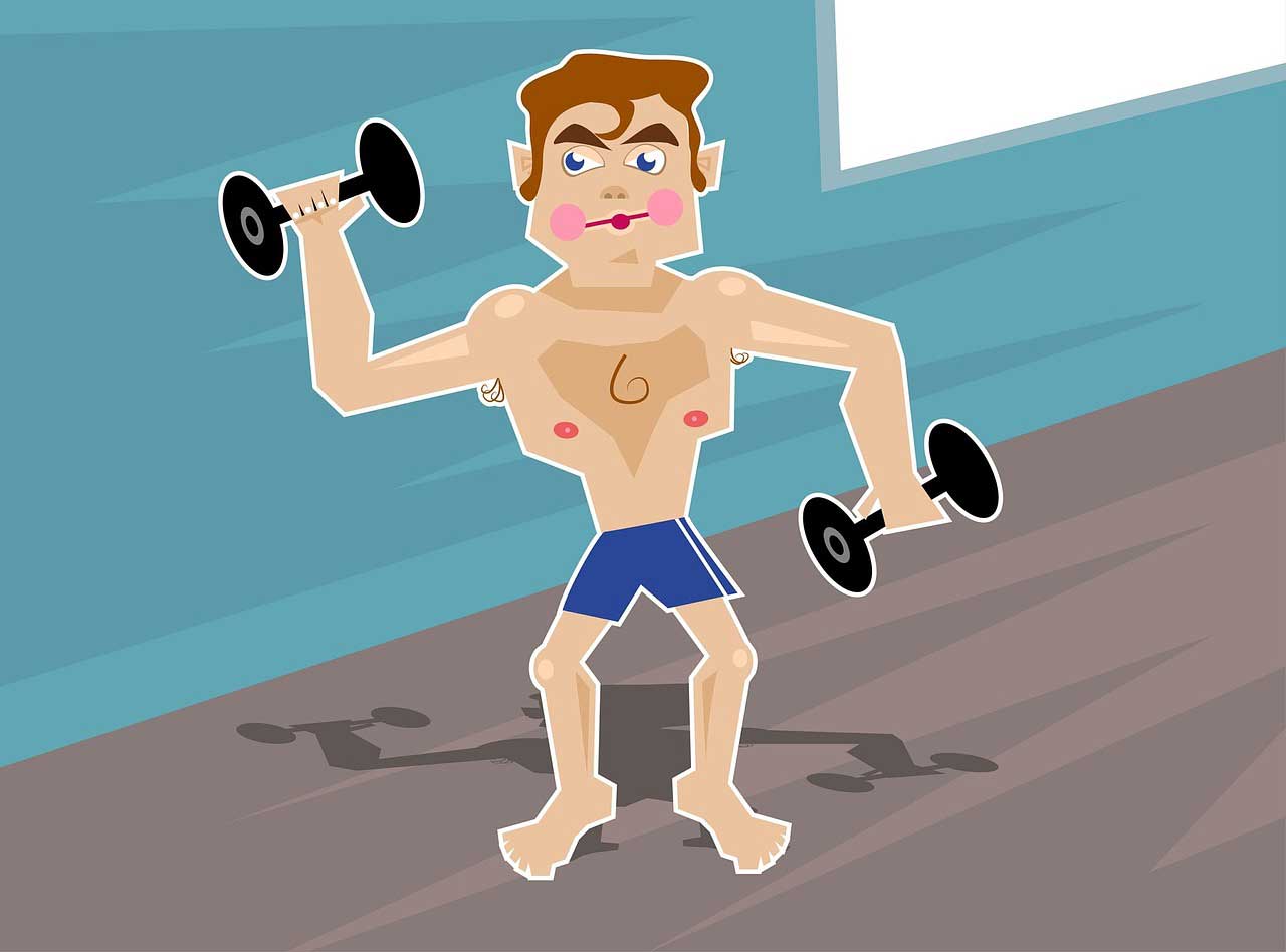 Muskelaufbau Experten geben Tipps